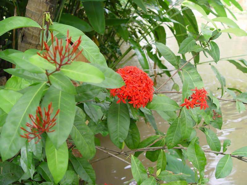 thailande451.jpg