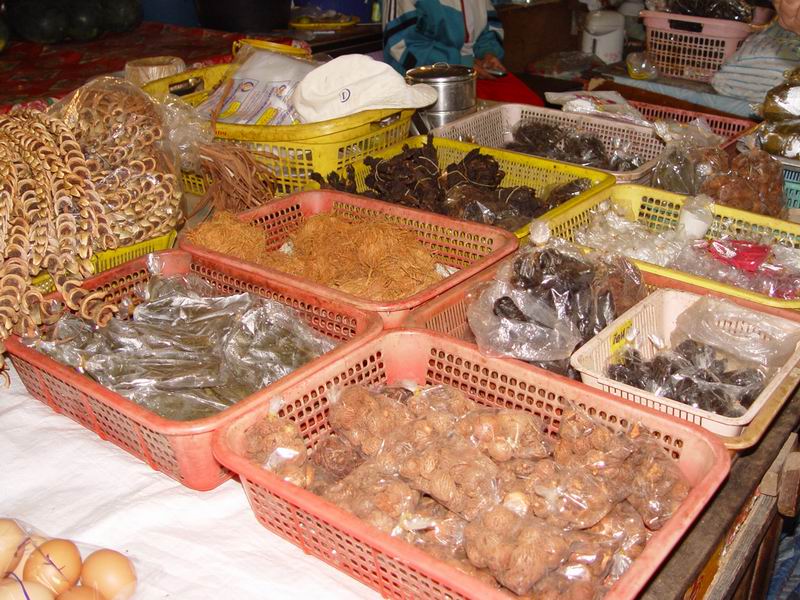 thailande566.jpg