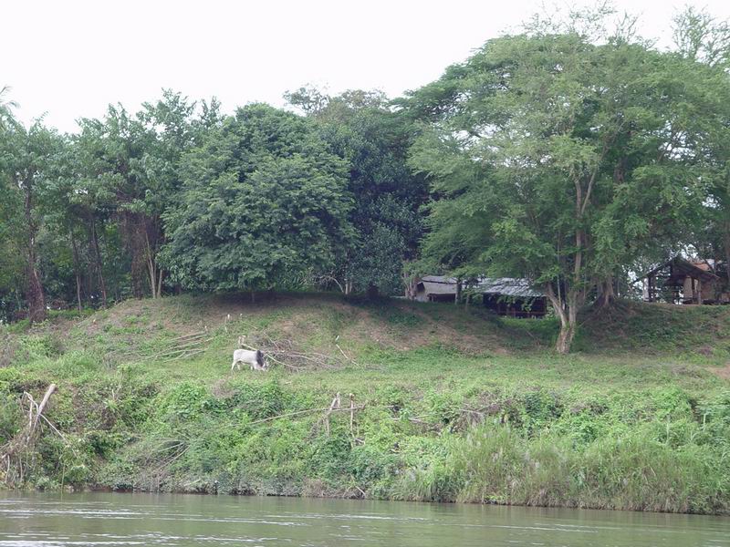 thailande635.jpg
