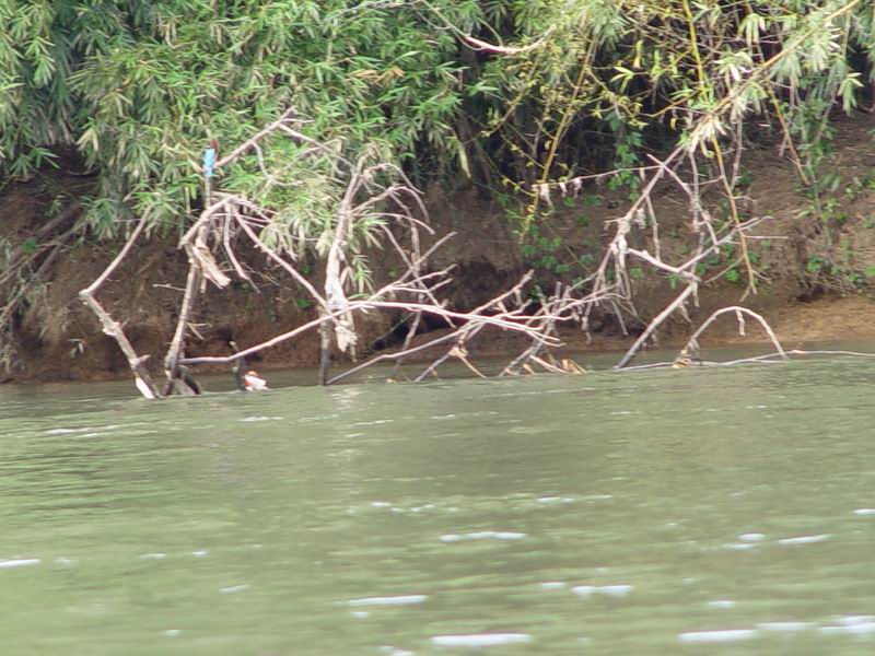 thailande647.jpg