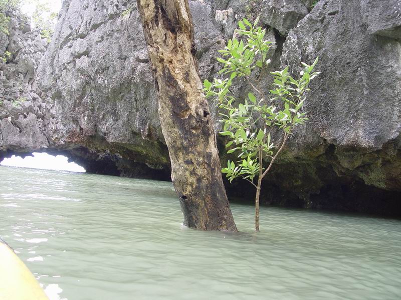 thailande826.jpg
