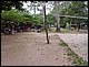 thailande305.jpg