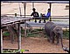 thailande393.jpg