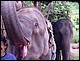 thailande396.jpg
