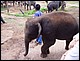 thailande397.jpg