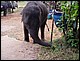 thailande399.jpg