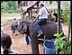 thailande400.jpg