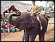 thailande402.jpg