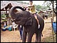 thailande403.jpg