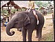 thailande404.jpg