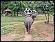 thailande405.jpg