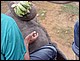 thailande406.jpg