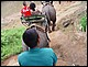 thailande407.jpg