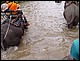thailande409.jpg