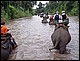 thailande410.jpg