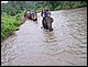 thailande411.jpg