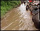 thailande412.jpg