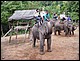 thailande418.jpg