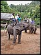 thailande419.jpg