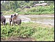 thailande425.jpg