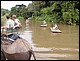 thailande427.jpg