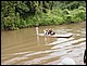 thailande428.jpg