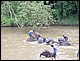 thailande431.jpg
