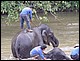 thailande432.jpg