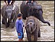 thailande433.jpg