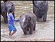 thailande434.jpg
