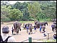 thailande436.jpg