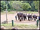 thailande437.jpg