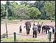 thailande438.jpg