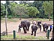 thailande439.jpg