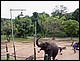thailande444.jpg
