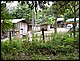thailande448.jpg