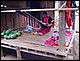 thailande474.jpg