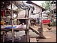 thailande477.jpg