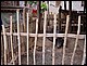 thailande480.jpg