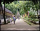 thailande486.jpg