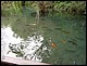 thailande492.jpg
