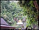 thailande516.jpg