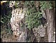 thailande519.jpg