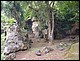 thailande520.jpg