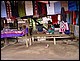 thailande527.jpg
