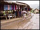 thailande532.jpg