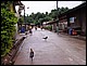 thailande549.jpg