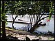 thailande580.jpg