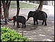 thailande598.jpg