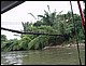 thailande608.jpg